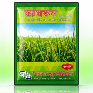 ফ্যালকন ৯৫ এসপি   (কার্টাপ ৯২% + অ্যাসিটামিপ্রিড ৩%)
